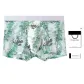 1 Pack[Green Bamboo Panda *1]