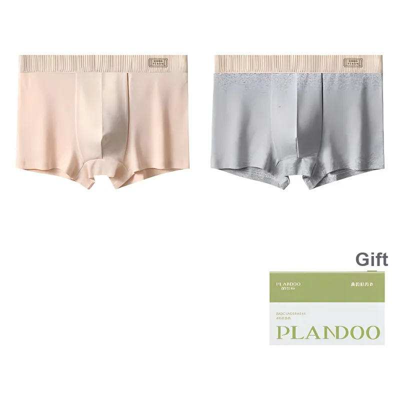 PLANDOO Underpants Men's Shopping Bag 2 Pack-0