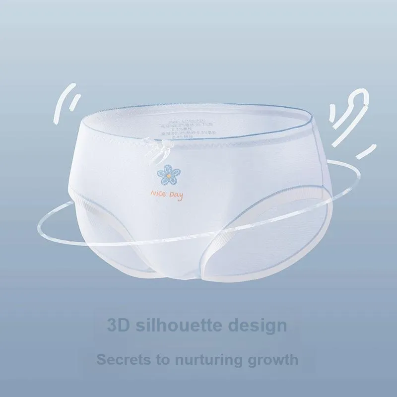 Pretty Lady Underpants Women's 4 Pack-2