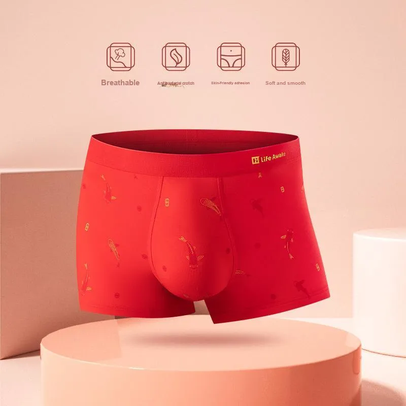 HLA Men Underpants-2
