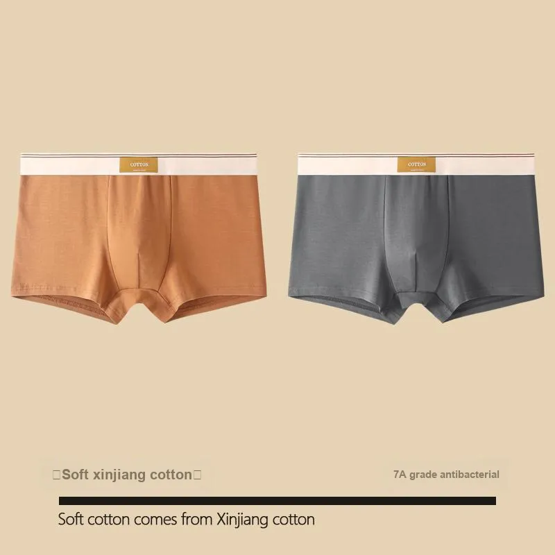 GOSO Underpants Men's Combo Set-2