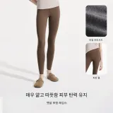 프레이시 그레이