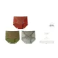 3D Brick Red+Green+Gray Green