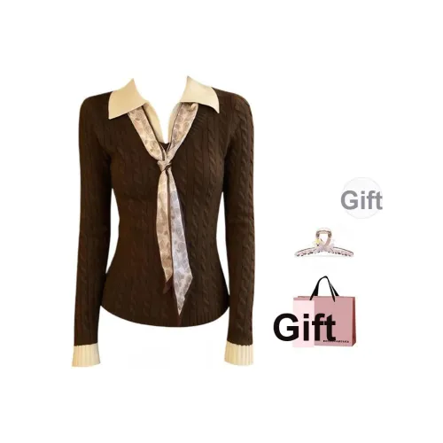 BAIDAIFEI Кофейный+Эксклюзивная сумка для покупок+Заколка-краб Женская трикотаж