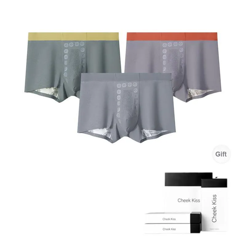 Cheekkiss Underwear Gift Boxes Men's 3 Pack-12