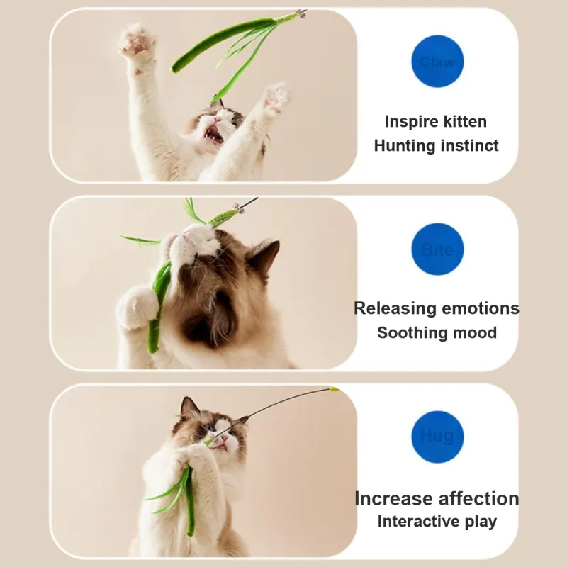 Kimpets Pet Toys-4