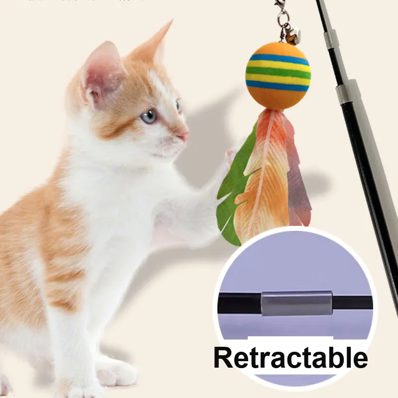 ZANCHONG Pet Toys-5