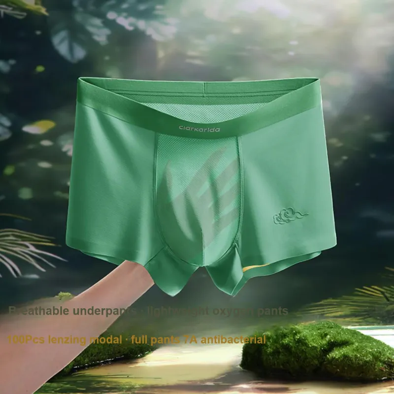 Clarkarida Underpants Men's 3 Pack-5