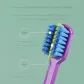 Orthodontic Toothbrush 6 Pcs
