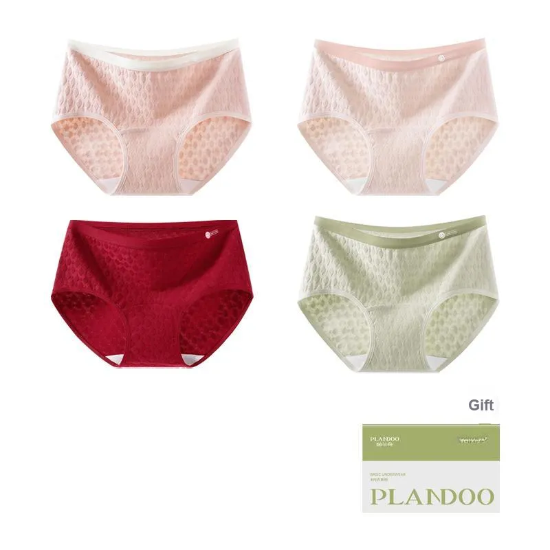 PLANDOO Underpants Women's Shopping Bag 4 Pack-12