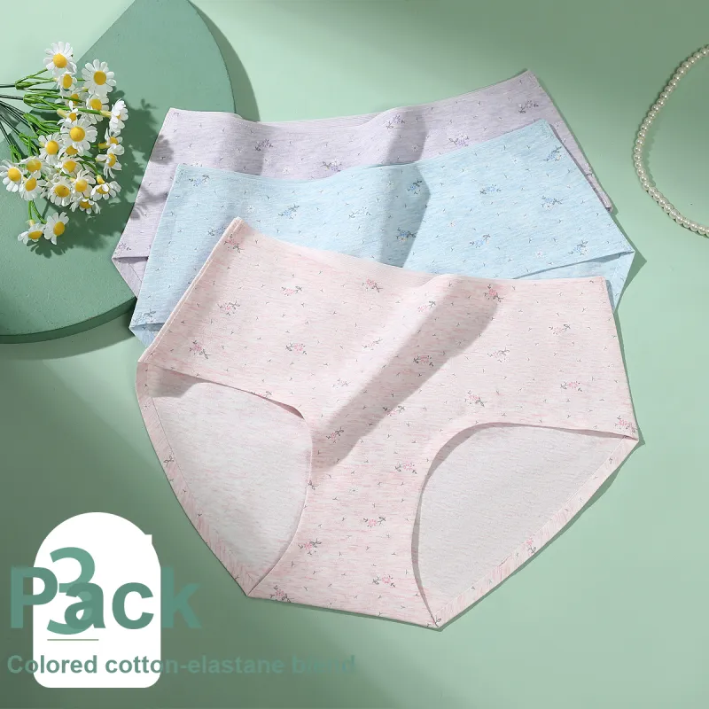 Red Bean Underpants Women's 3 Pack-1