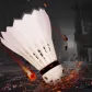 Double Fish Golden Finch Badminton Super Durable King-77 Speed 12 Pack
