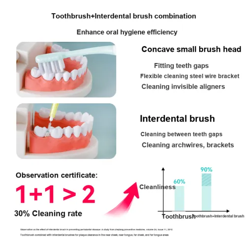 Dr. Tooth Orthodontic Specific Concave Soft Bristle Gum Care And Oral Cleaning Tool Toothbrushes