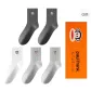 Dark Gray 2+Light Gray 2+Bleached 1