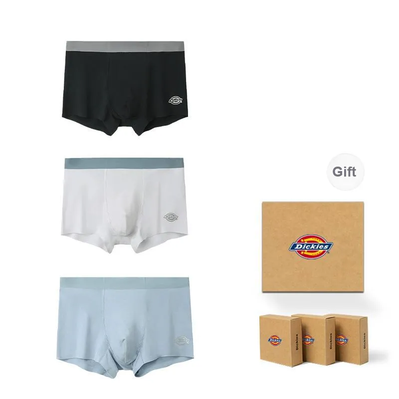Dickies Underpants Men's Modal Cotton Premium Flat Box Combo Set-6