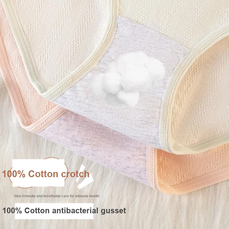 Pretty Lady Underpants Women's 3 Pack-5