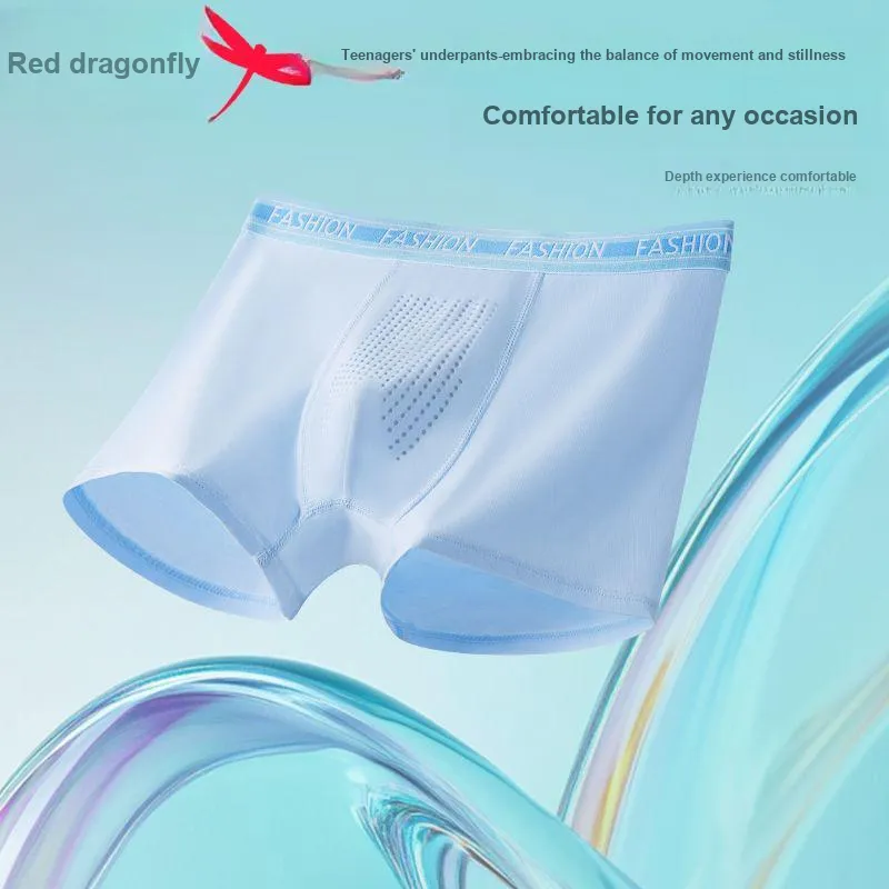RED DRAGONFLY Cotton Panties Men's 4 Pack-7