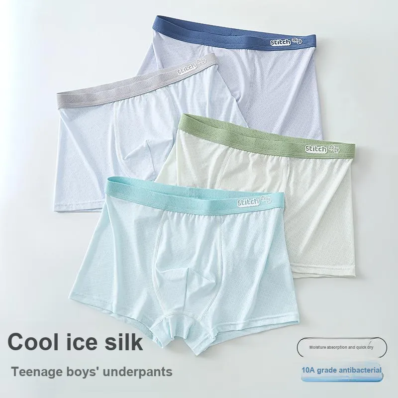 Herbal Primer Underpants Men's 4 Pack Mixed Color-4
