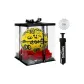 Rose Box+Pump