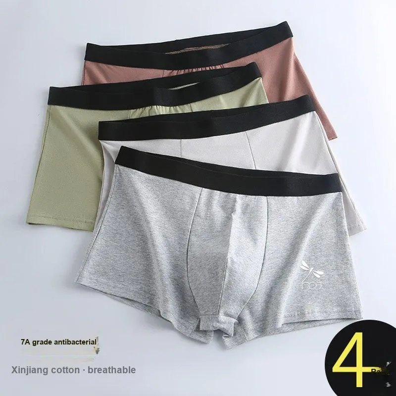 RED DRAGONFLY Cotton Panties Men's 3 Pack Gift Box Set-5