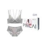 Earth Gray Bra+Underpants Set