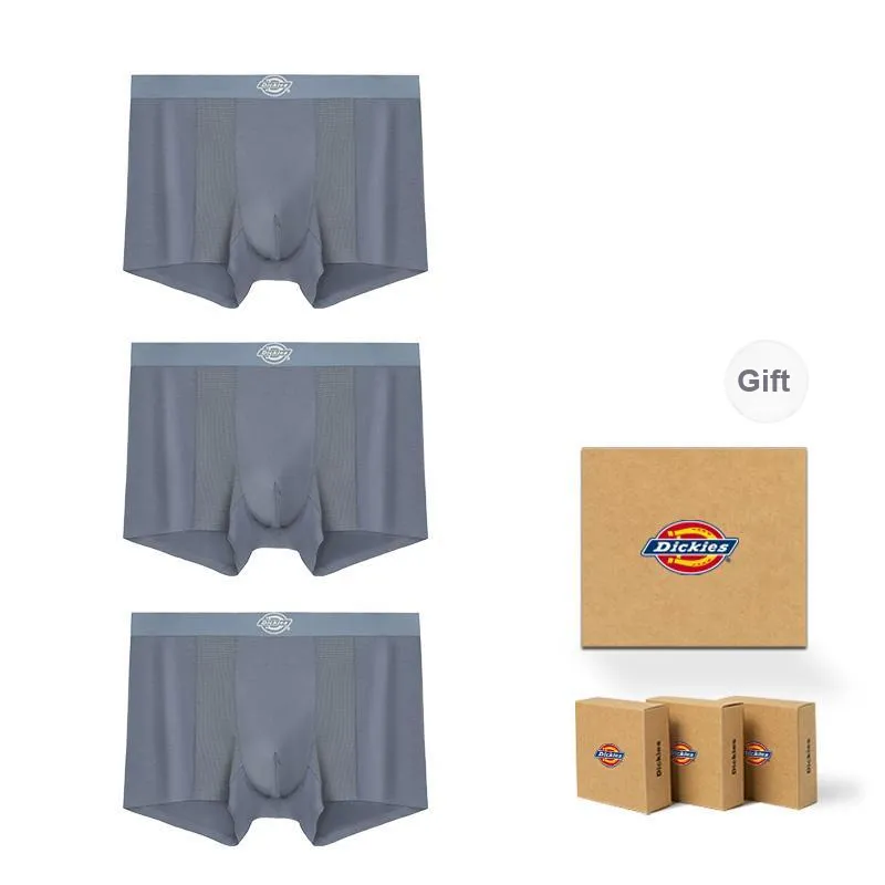 Dickies Underpants Men's Skin Friendly Minimalist Style Comfortable Modal Boxer Shorts Box Combo Set-3