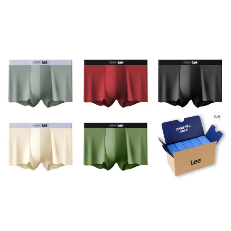 Lee Underpants Men's 5 Pack Gift Box Set-18