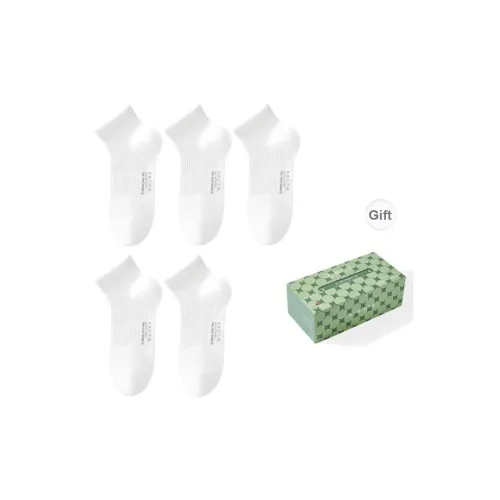 B&C.Room SS24 Ankle Socks Women's 5 Pack Tissue Box Design