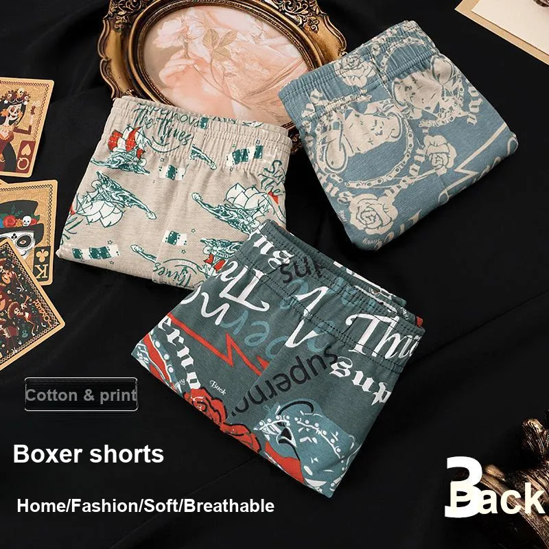 DUINIDESIYU Boxer Shorts Men's Combo Set-3