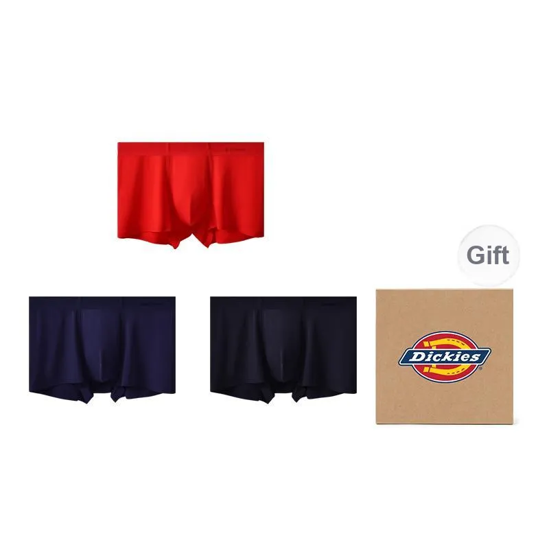 Dickies Comfortable Extra Thin Quick Dry Seamless Underpants Men's-0