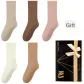 Oats, Coffee, Fuchsia, Ecru, Khaki (5 Pack)