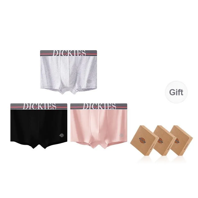 Dickies Underpants Men's Combo Set-90