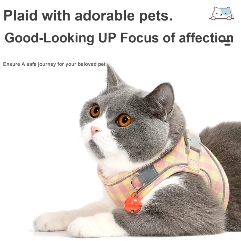 Kimpets Leashes-2