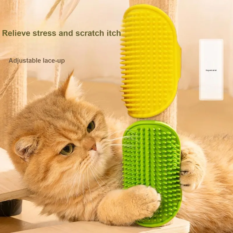Bebe fun Pet Toys-2