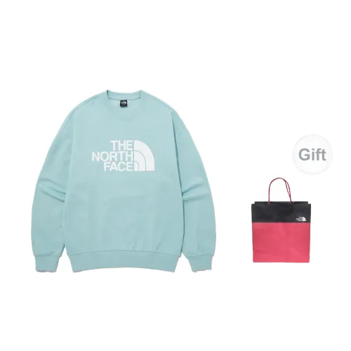 THE NORTH FACE Sweatshirts Men Mint Green