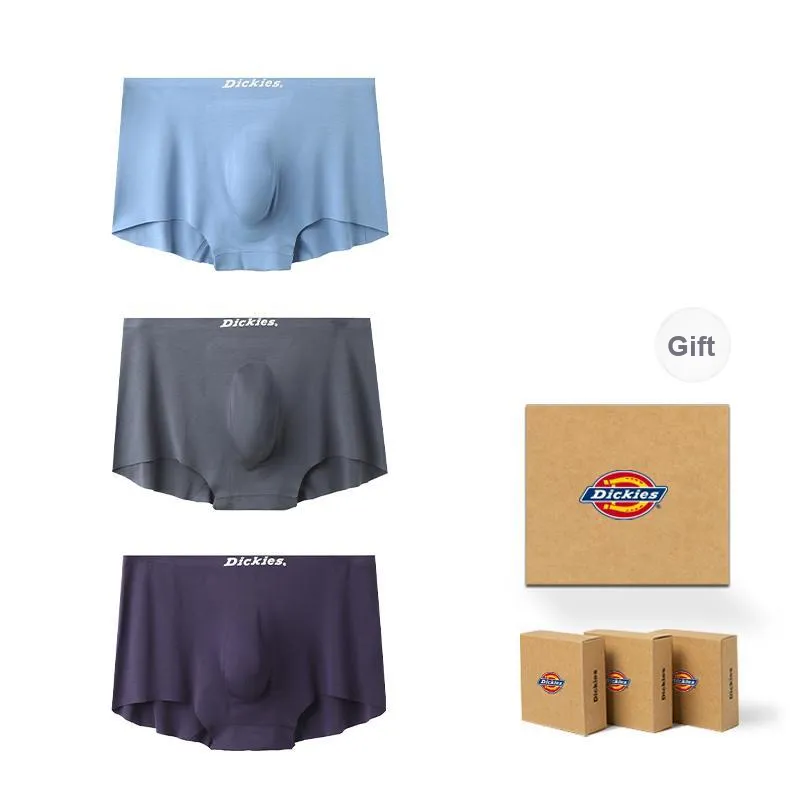 Dickies Underpants Men's Box 3 Pack-8