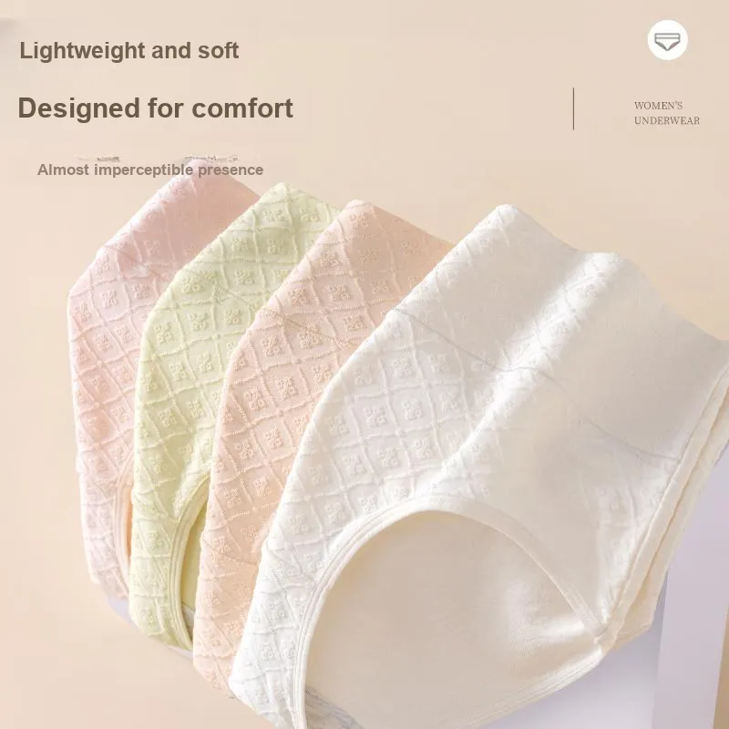 GRACEWELL Underpants Women's 3 Pack-2