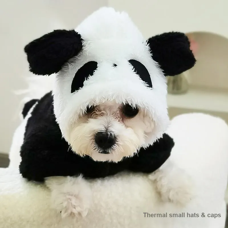 Pampering Pet Clothing-5