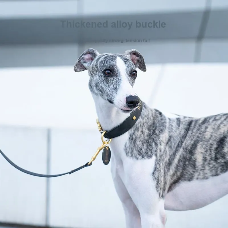 Wakytu Dog / Cat Collars-4