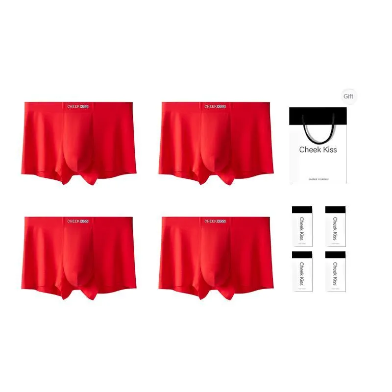 Cheekkiss Underpants Men's Gift Box Set Of 4-0