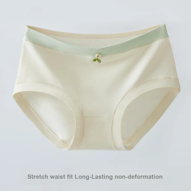 Ordifen Underpants Women's 3 Pack-5
