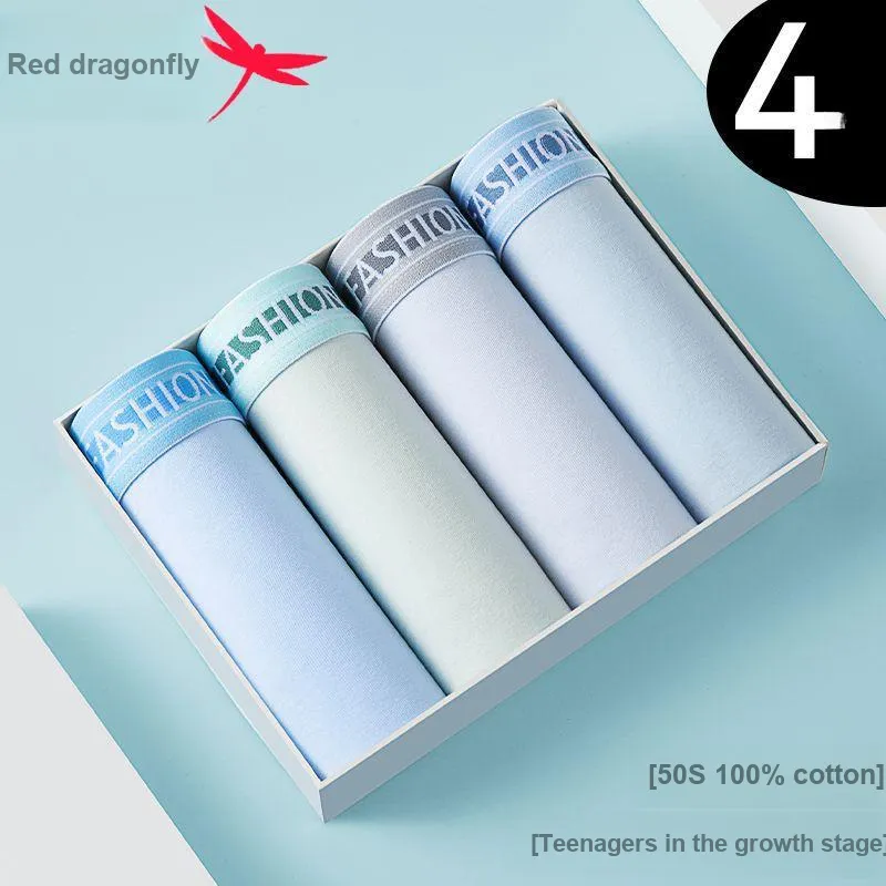 RED DRAGONFLY Cotton Panties Men's 4 Pack-4