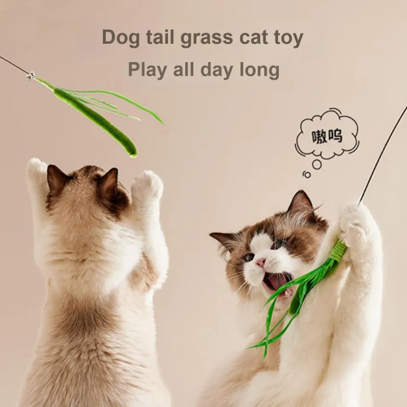 Kimpets Pet Toys-1