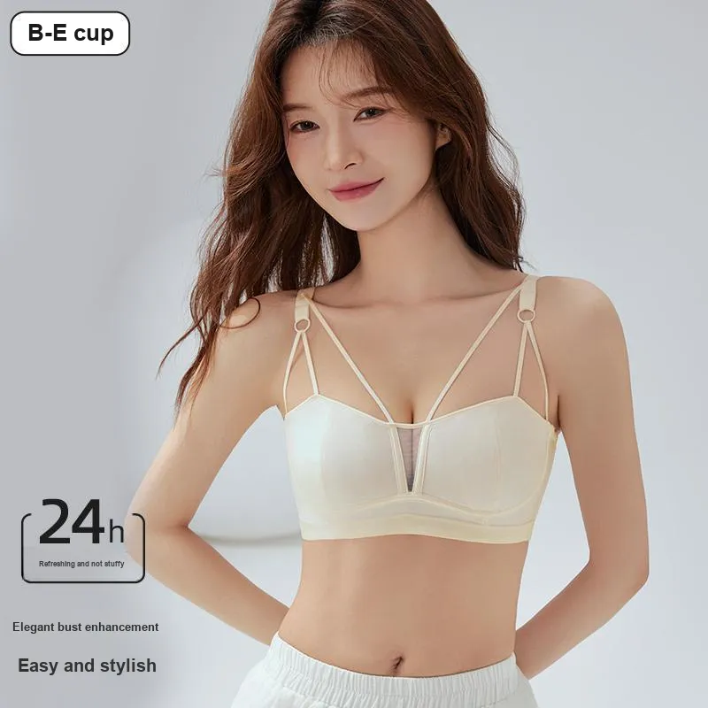 David Women's Bras-15