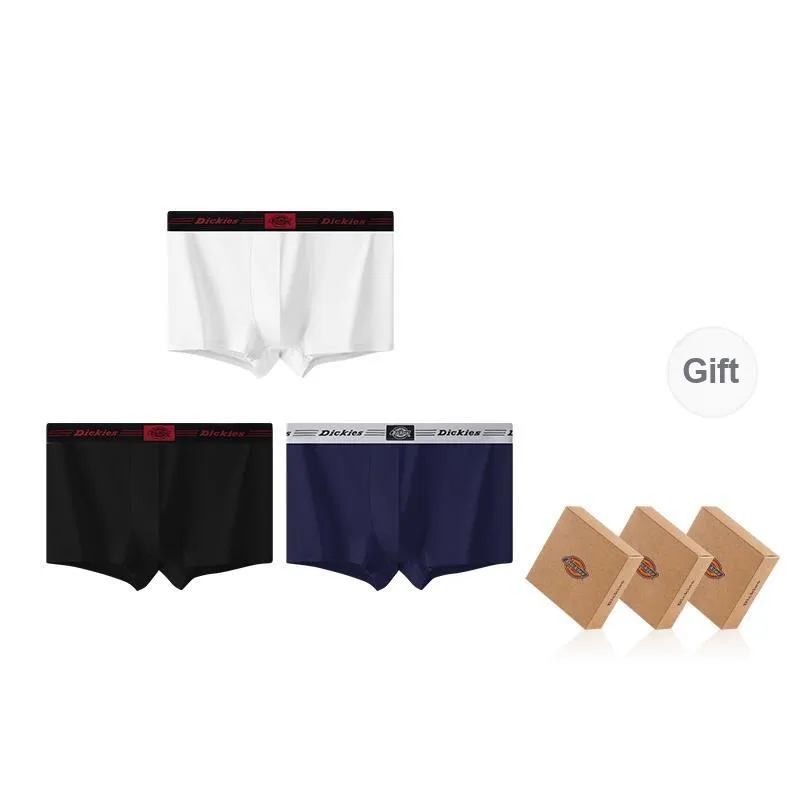 Dickies Underpants Men's Combo Set-65