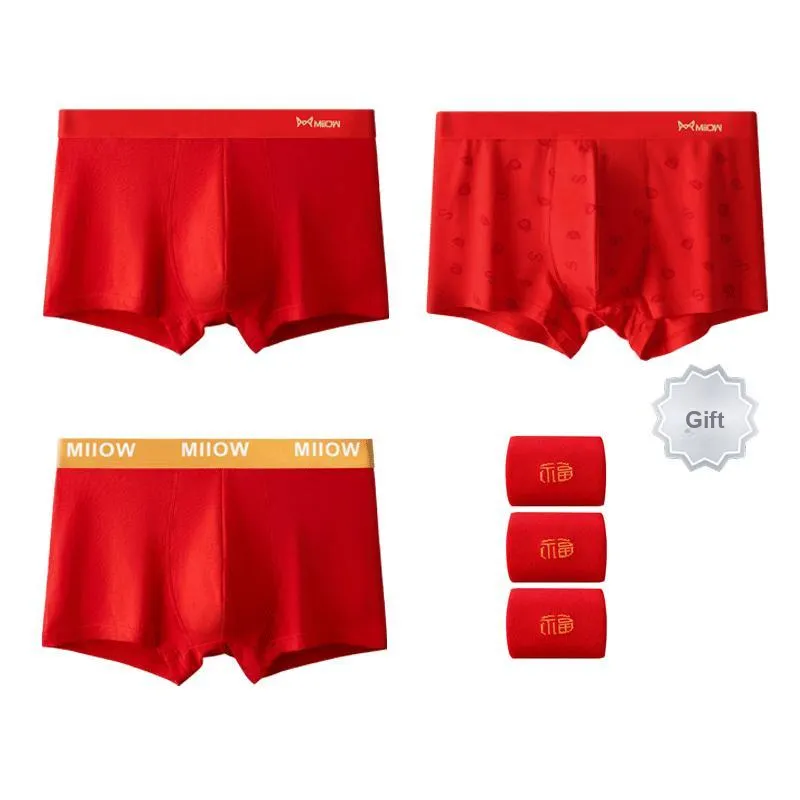 MIIOW Men Underpants-1