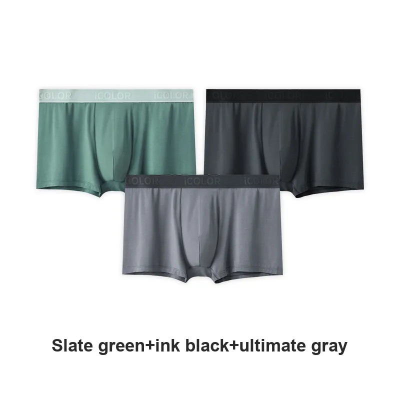 Icolor Men Underpants-15