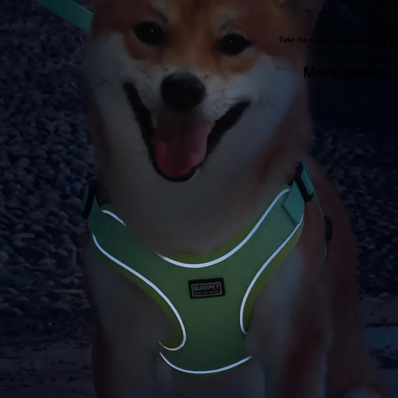 Kimpets Leashes-5
