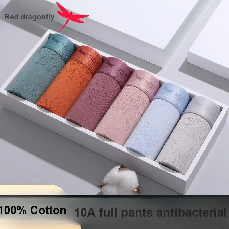 RED DRAGONFLY Cotton Panties Men's 3 Pack Box-4