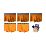 247 Orange X3+243 Orange X2 (5 Pcs Set)